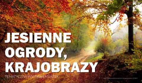 Baner prezentujący jesienny krajobraz